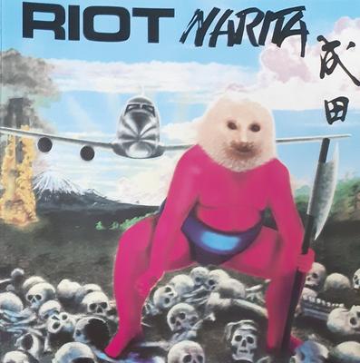 CD RIOT - Narita 339005 Secret Records 1989 France Rock Used