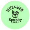 Spunky Pup, Fetch & Glow Ball, Medium, 1 Count