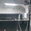 Fish Tank LED Clip Lamp 5V Safe USB Power Energy-saving Ultrathin Aquarium light Full Spectrum Water Plant Lamp