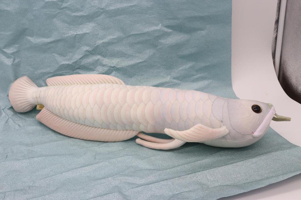 Take Off Silver Arowana Realistic Cute Fish Series