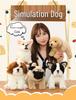 Realistic Plush Toy Dogs: Maltese, Bichon Frise, Labrador, Tibetan Mastiff - Perfect Birthday Gift