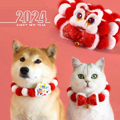 Abbigliamento e scarpe – Accessori per cani