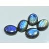 15X20MM Natural Labradorite Blue Fire Oval Cabochon Loose Gemstone 05Pcs Lot C-1053