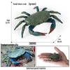 Children's Cognitive Toy: Hermit Crab Marine Animal Model Ornament