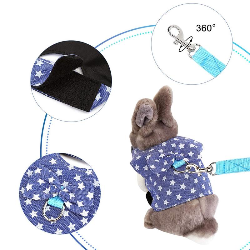 Bunny Harness and Leash Rabbit Vest for Guinea Pig Ferret Chinchilla Hamster  Lovely Costume 3 Sizes  Colors B03E