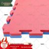 Tancunzhe EVA Foam Taekwondo and Crawling Mat