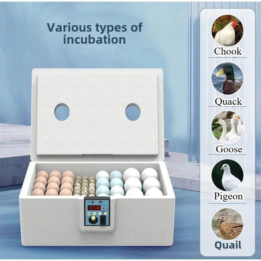 24-hour Thermostatic Small Poultry Egg Incubator Biomimetic Waterbed Fully Automatic Incubator Intelligent Chicken Duck Goose
