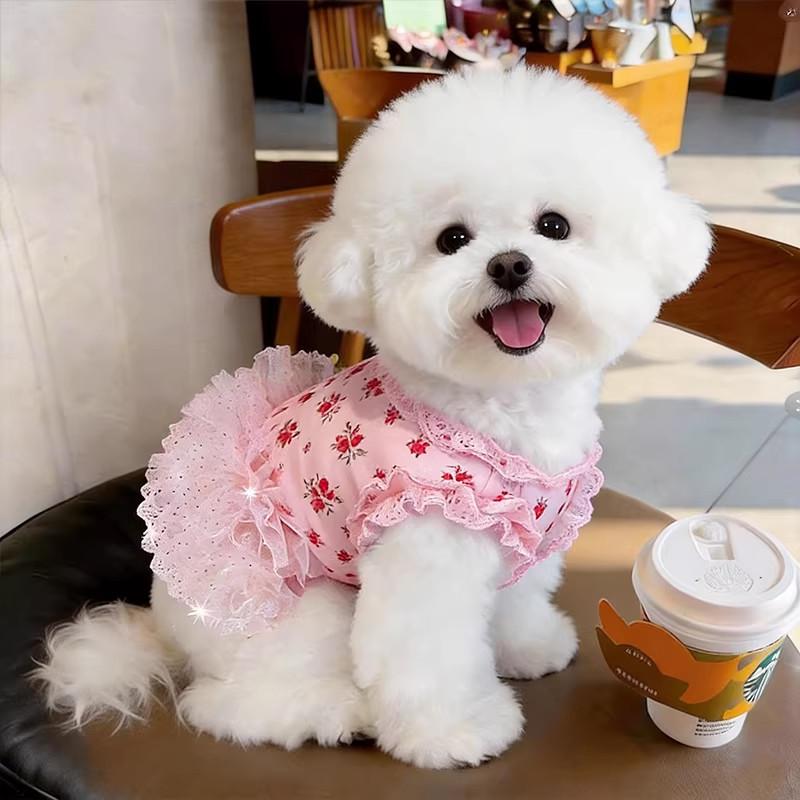 New Pet Clothes Thin Dog Summer Cat Dog Clothes Skirt Lace Floral Pieces Breathable Skin Friendly Dog Teddy Beard Corgi