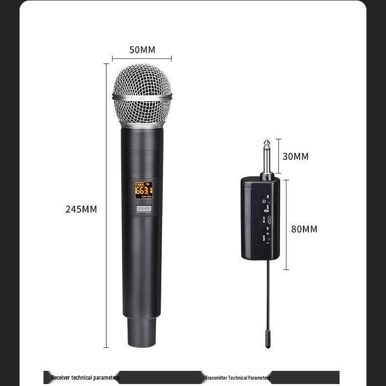 2.4G Dual Wireless Mic System for Karaoke, Outdoor, Live Streaming, Stage Performance - V Band & U Band