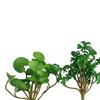For Window Porch Office Decor Desktop Bonsai Fake Ivy Leaves Simulation Plant Copper Coin Grass