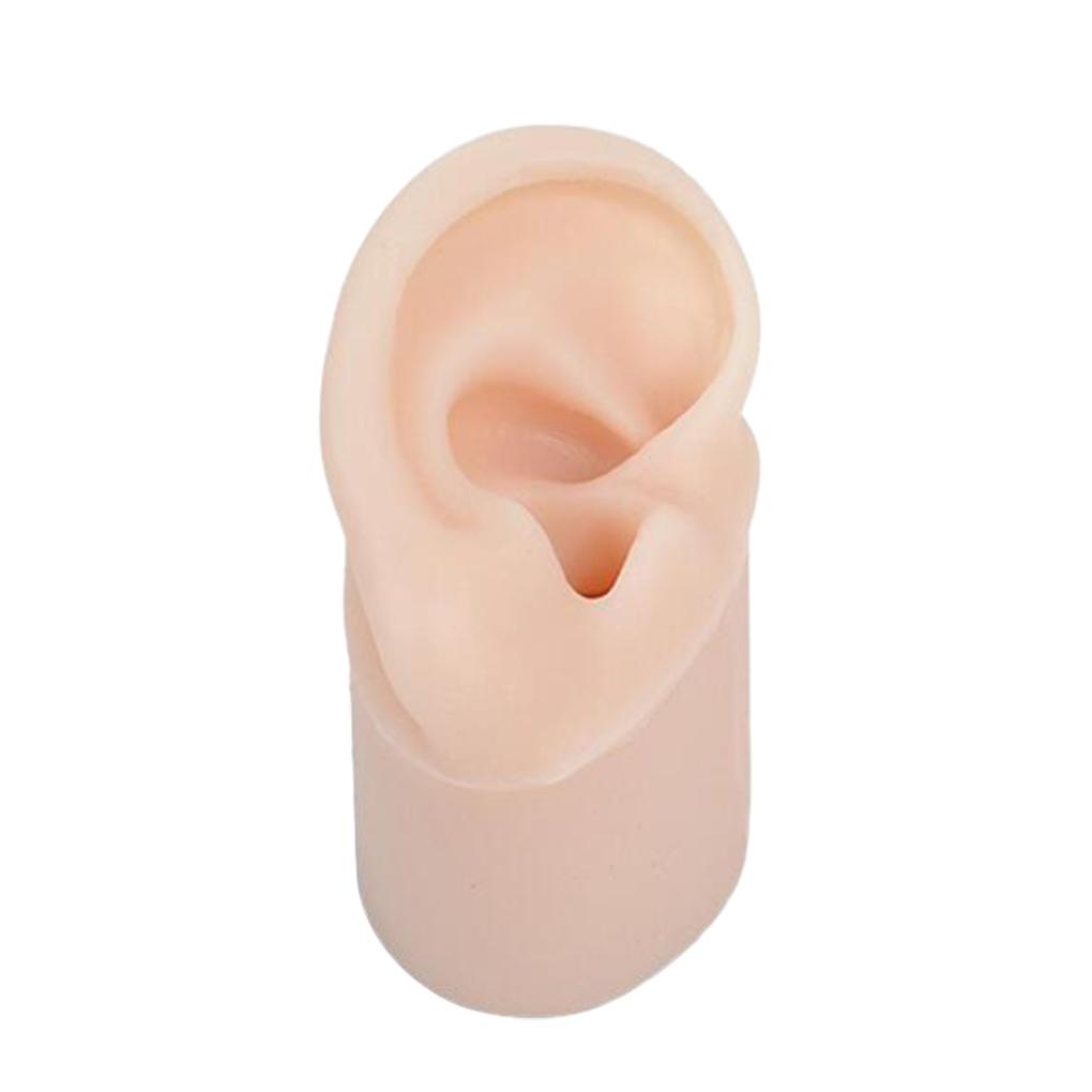 Realistic Silicone Ear Model Soft and Flexible Medical Students Practice