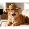 Pet weaving hat cat straw hat cat headgear pet photo jewelry explosive pet supplies