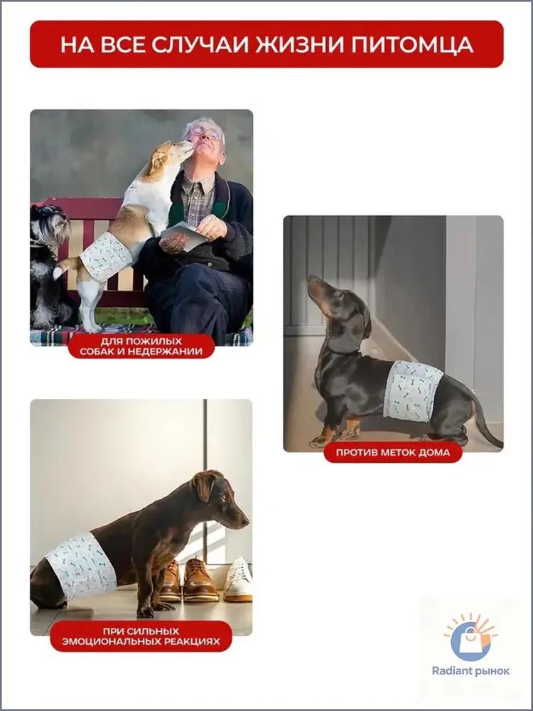 Small dog diapers belts for dogs size S 12 pcs