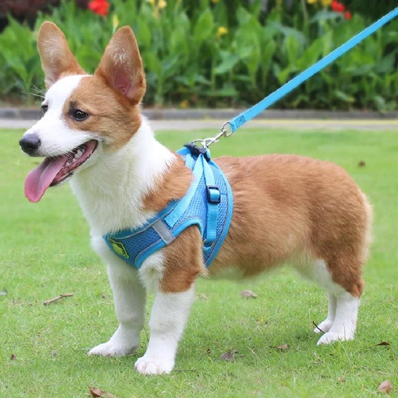 Reflective Pet Leash Harness & Leash Set For Puppy & Kitten, No Pull Dog Vest Harness With Breathable Mesh