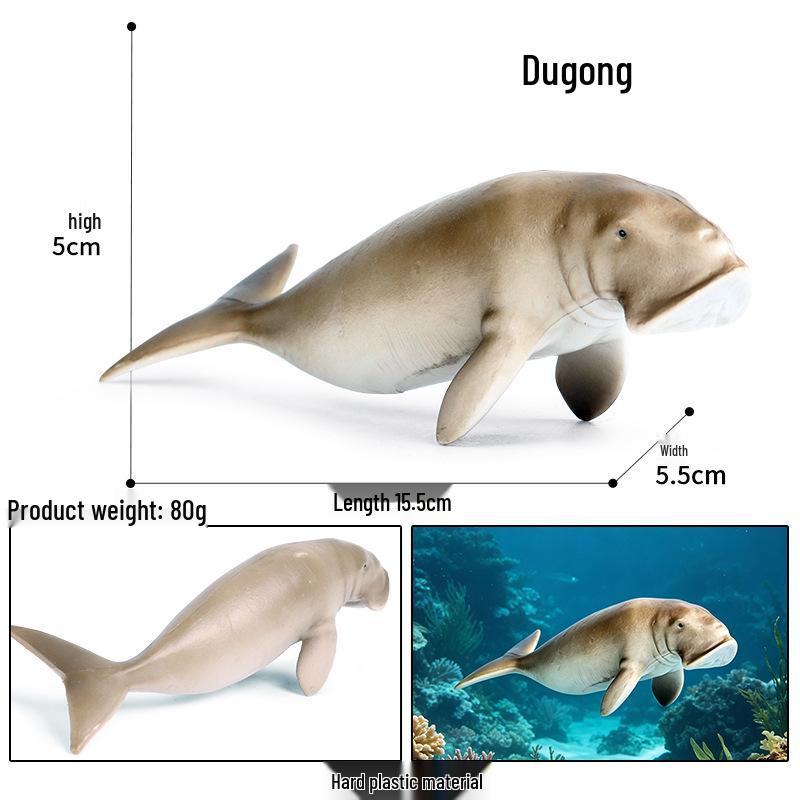 Ocean Wildlife Simulation Toy Set: Sea Turtle, Shark, Whale, Sea Lion, Tiger Shark, Manta Ray, Seal, Grouper.