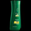 100 Years Runfa Anti-Dandruff & Conditioning Shampoo N5 (2x200ml)