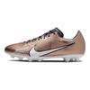 Nike Scarpe da Calcio Zoom Vapor 15 Academy AG Uomo Scarpe da Calcio Rame DR5943-810