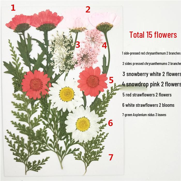 Handmade Kindergarten Collage: Real Dried Leaf and Flower Stickers for Face and Photo Decoration