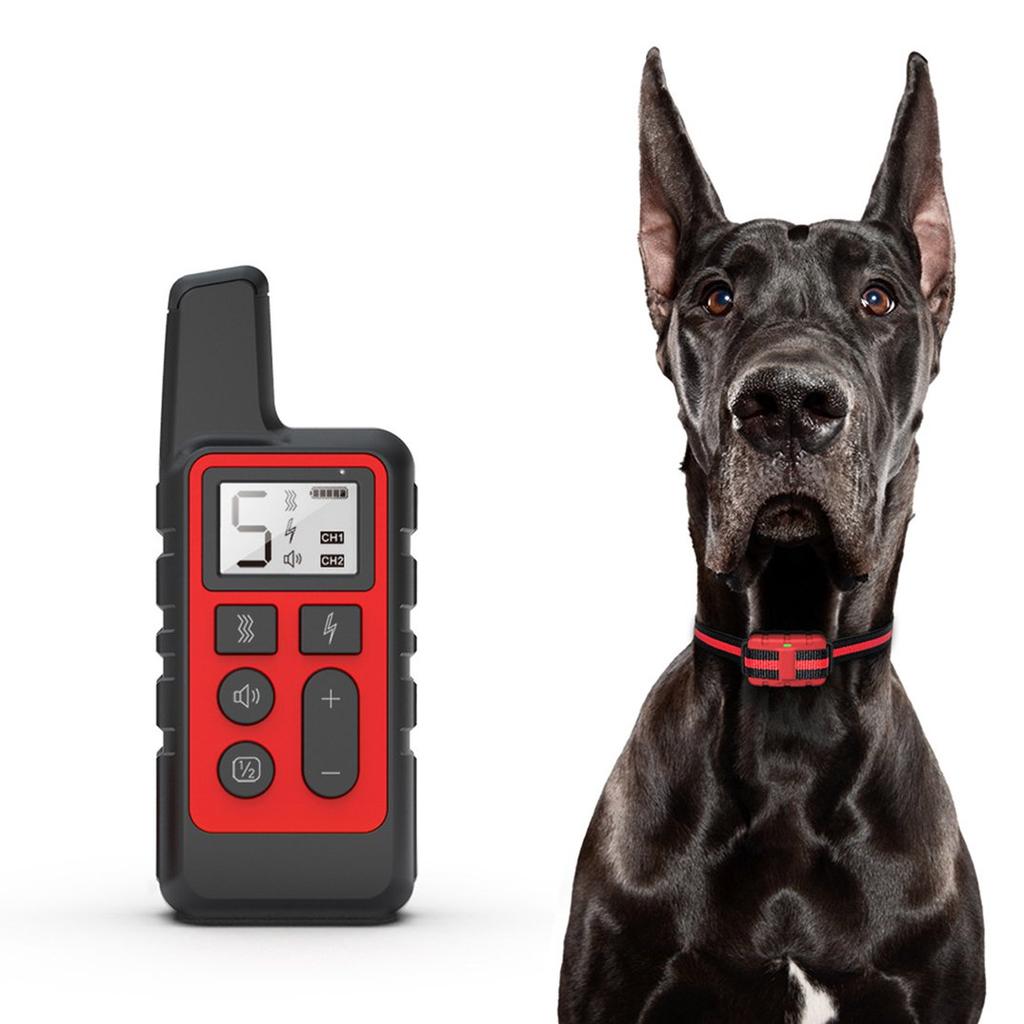 dog training device