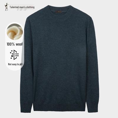 Caizi Men's Crew Neck Wool Sweater 92256M0126