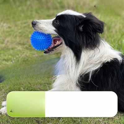 Dog Toy Medium Thorn Ball Dog Toy Sound Bite Pet Molar Toy Medium Dog