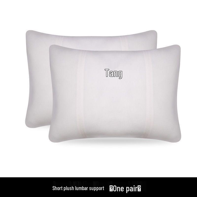BYD Tang DMI Car Headrest & Lumbar Support Pillow - Champion Edition for EV Interior & Neck Protection