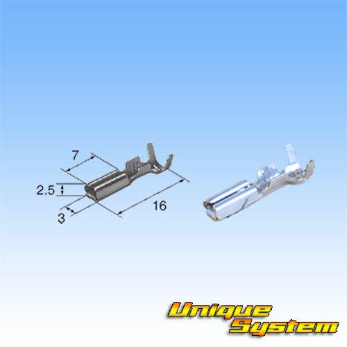 Sumitomo Wiring Systems Type 090 MT Waterproof 2-Pole Female Coupler/Terminal