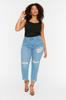 Women's Style Plus Size Light Blue Ripped Detailed High Waist Skinny Jeans