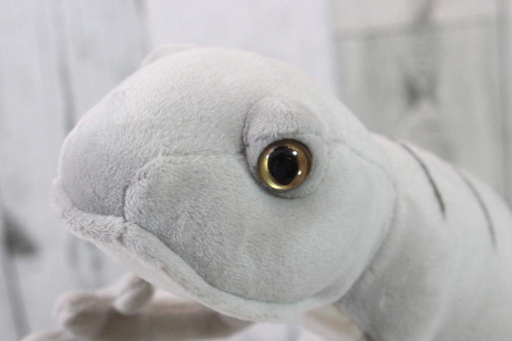 Takeoff Animania Gecko Plush Toy Music [With Box]