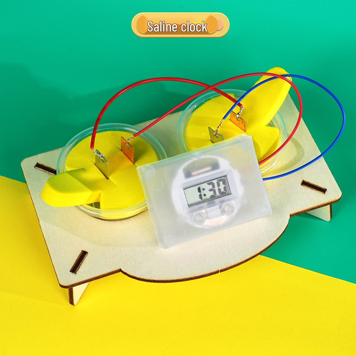 Saltwater-Powered DIY Science Kit: Explore New Energy Technology