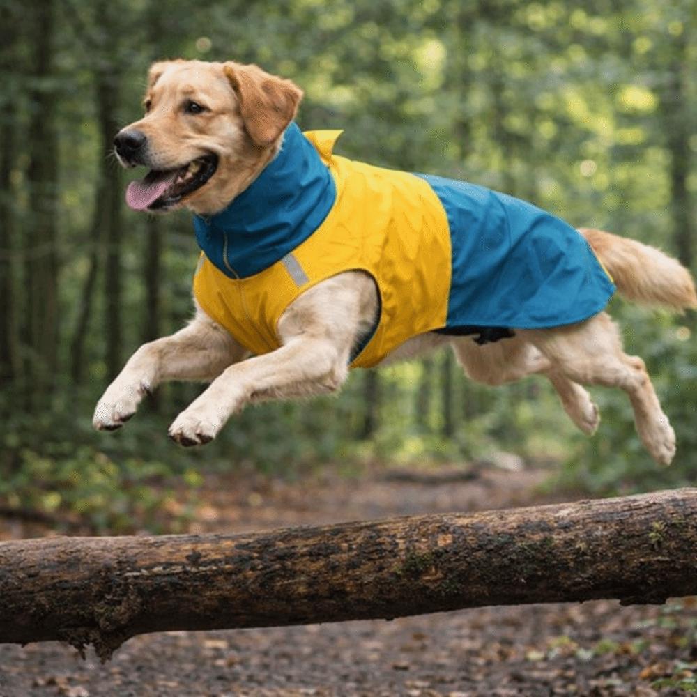 Adjustable Dog Rain Jacket Windproof Dog Rain Cloak Pet Waterproof Clothes  Night Walking