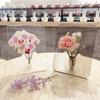 Creativity Art Photo Frame Vase Acrylic Desktop Plant Holder Aquatic Flower Arranger Hydroponic Flower Arrangement Home Decor