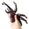 Large Soft Insect Model: Stag Beetle, Rhinoceros Beetle, Grasshopper, Mantis Toy for Kids