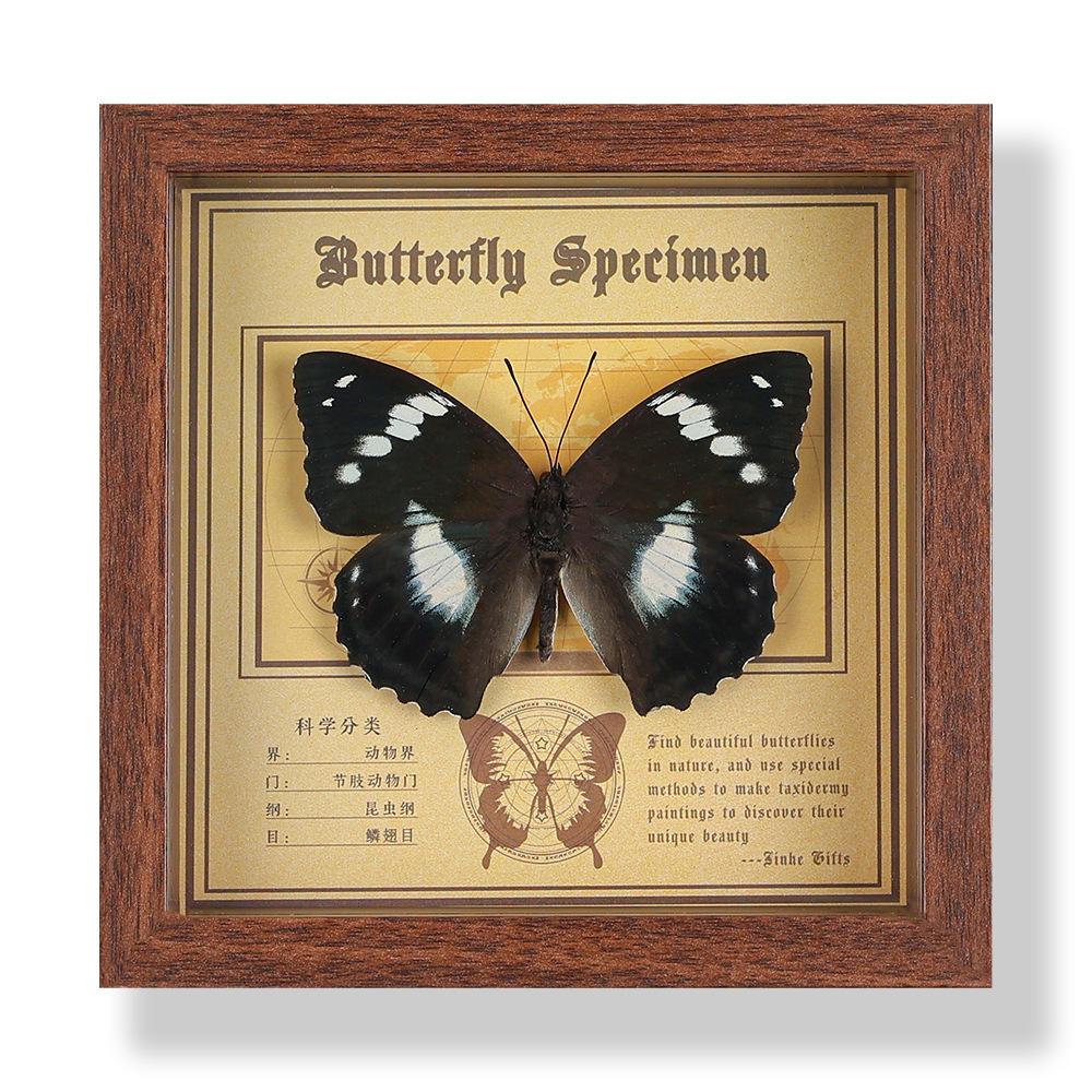 Real butterfly specimen photo frame, decorative painting, 3D ornament, handmade DIY, birthday gift, insect specimen