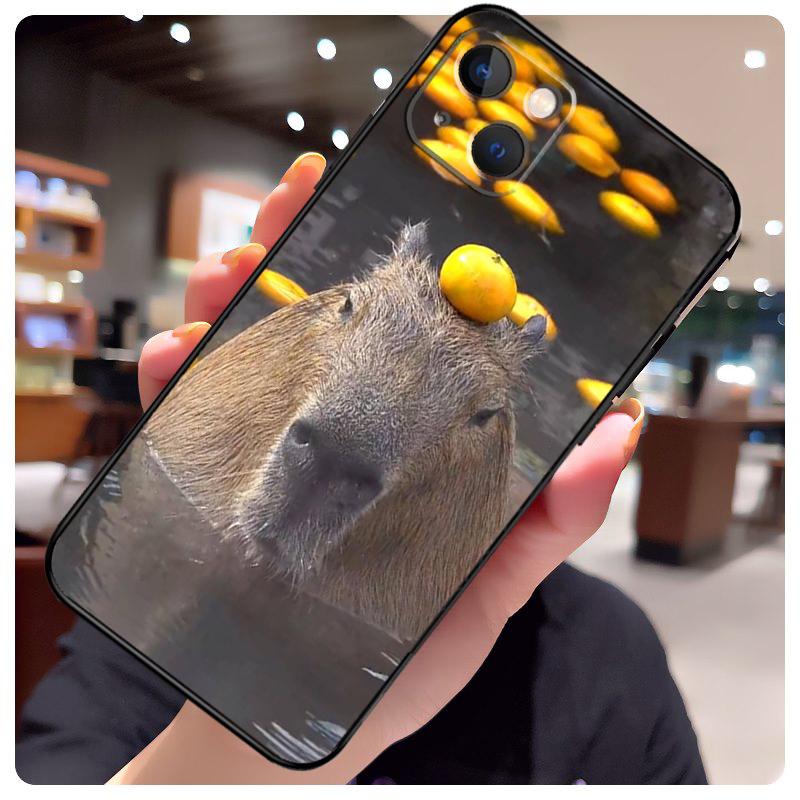 Animal Funny Capybara Case For iPhone 16 Pro Max 14 13 12 11 15 17 Pro Max mini 15 16 Plus 16e 17 Air Phone Cover