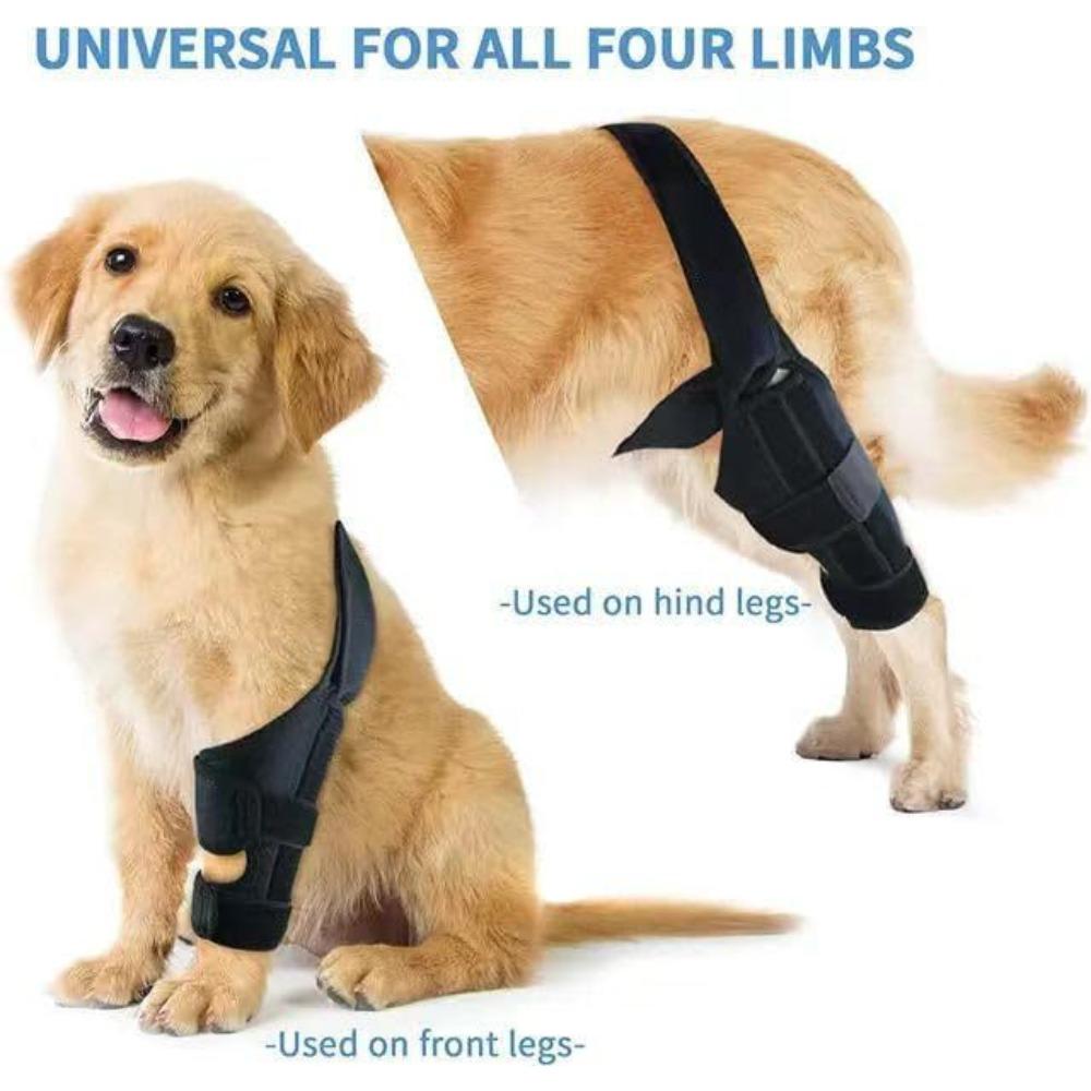 

Pet protective gear dog leg injury auxiliary belt including support strip dog leg guard dog knee rehabilitation belt XS