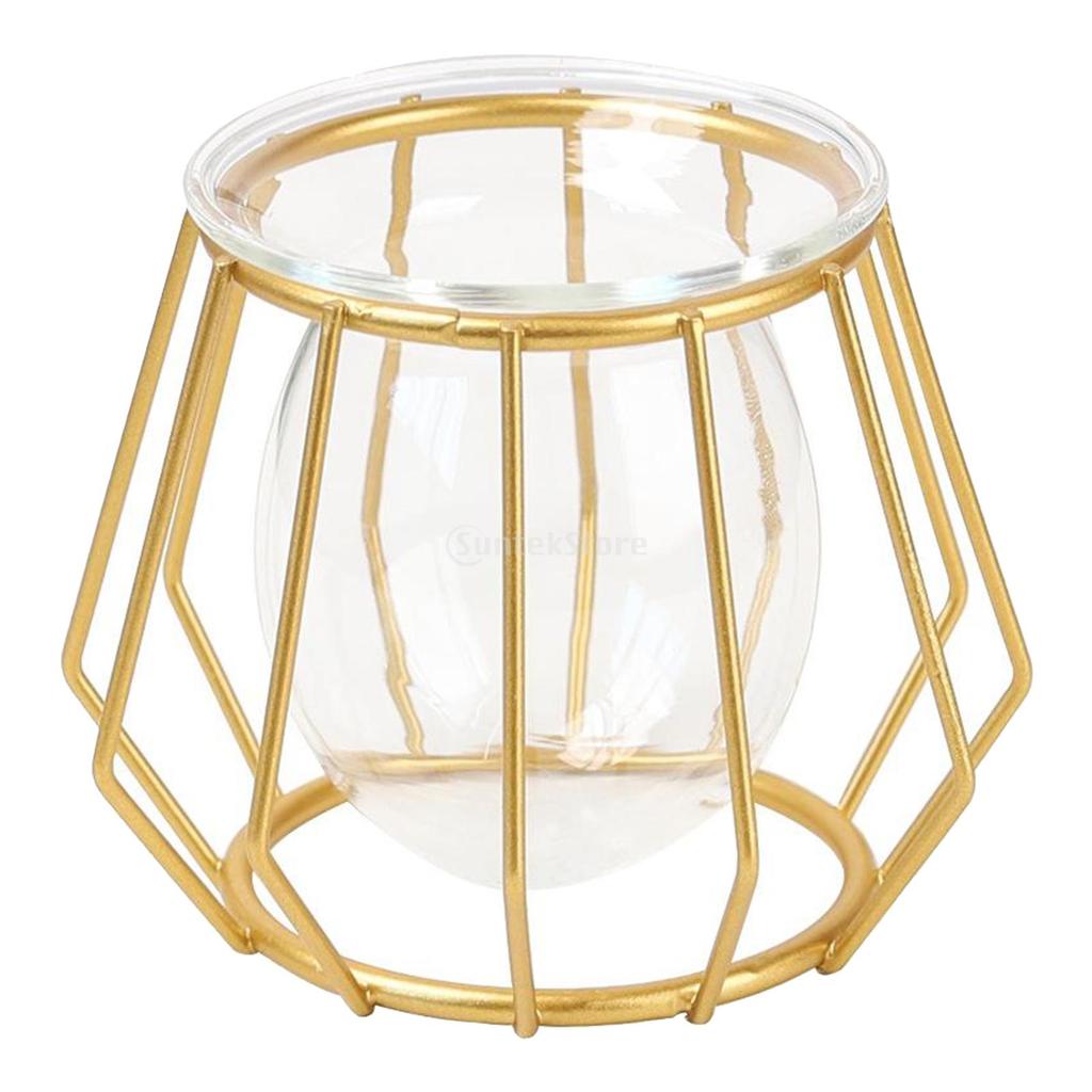 Metal Wire 3D Geometric Hydroponics Vase Holder Watering Planter Flower Pots Test Tube Vase Plants Home Desktop Table Decor