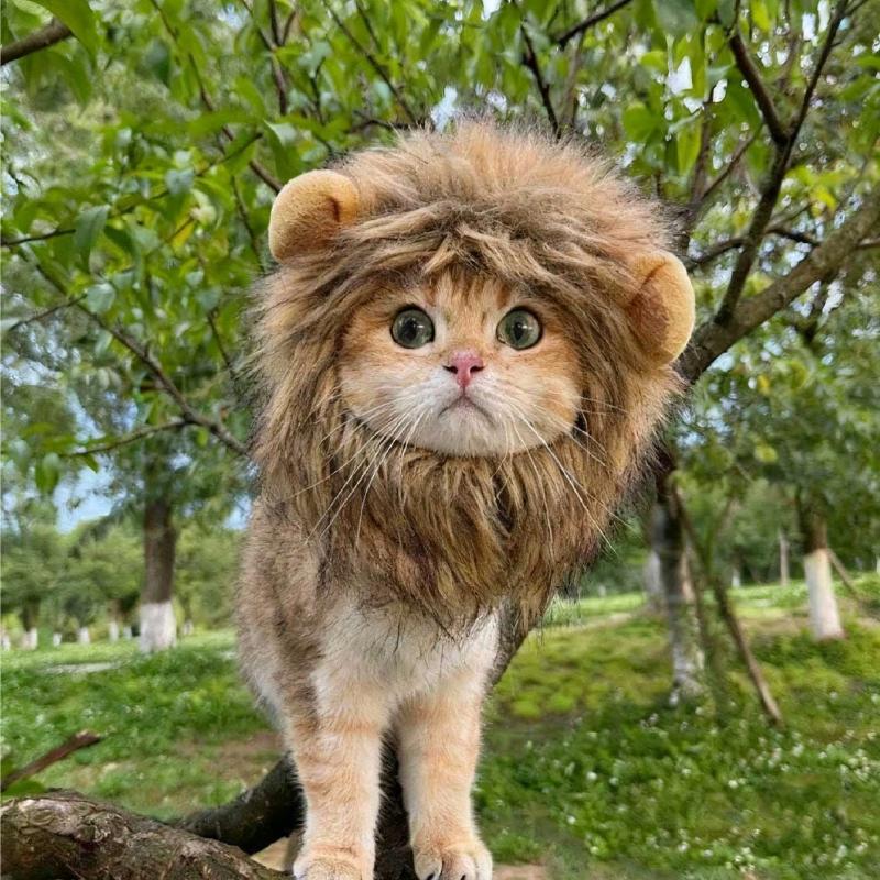 Nuovi Animali Domestici Carini Divertenti Vestiti Cappello Gatto Carino Parrucca Leone Criniera Costume Cosplay Gattino Cane Cappello Con Orecchie Forniture per Feste Fantasia