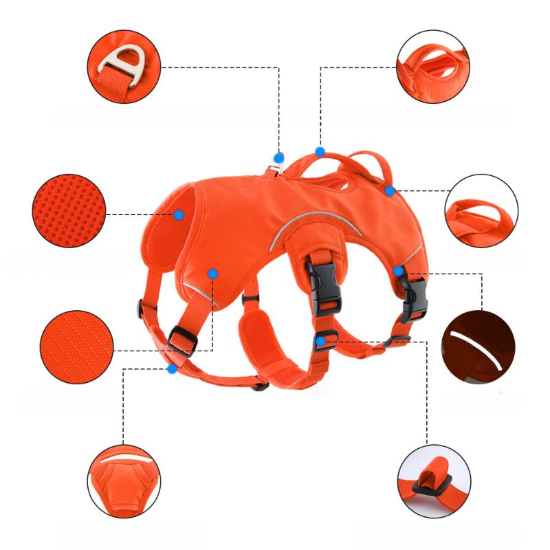 Γιλέκο Έλξης για Κατοικίδιο Σκύλο, Λουρί Περιπάτου Σκύλου