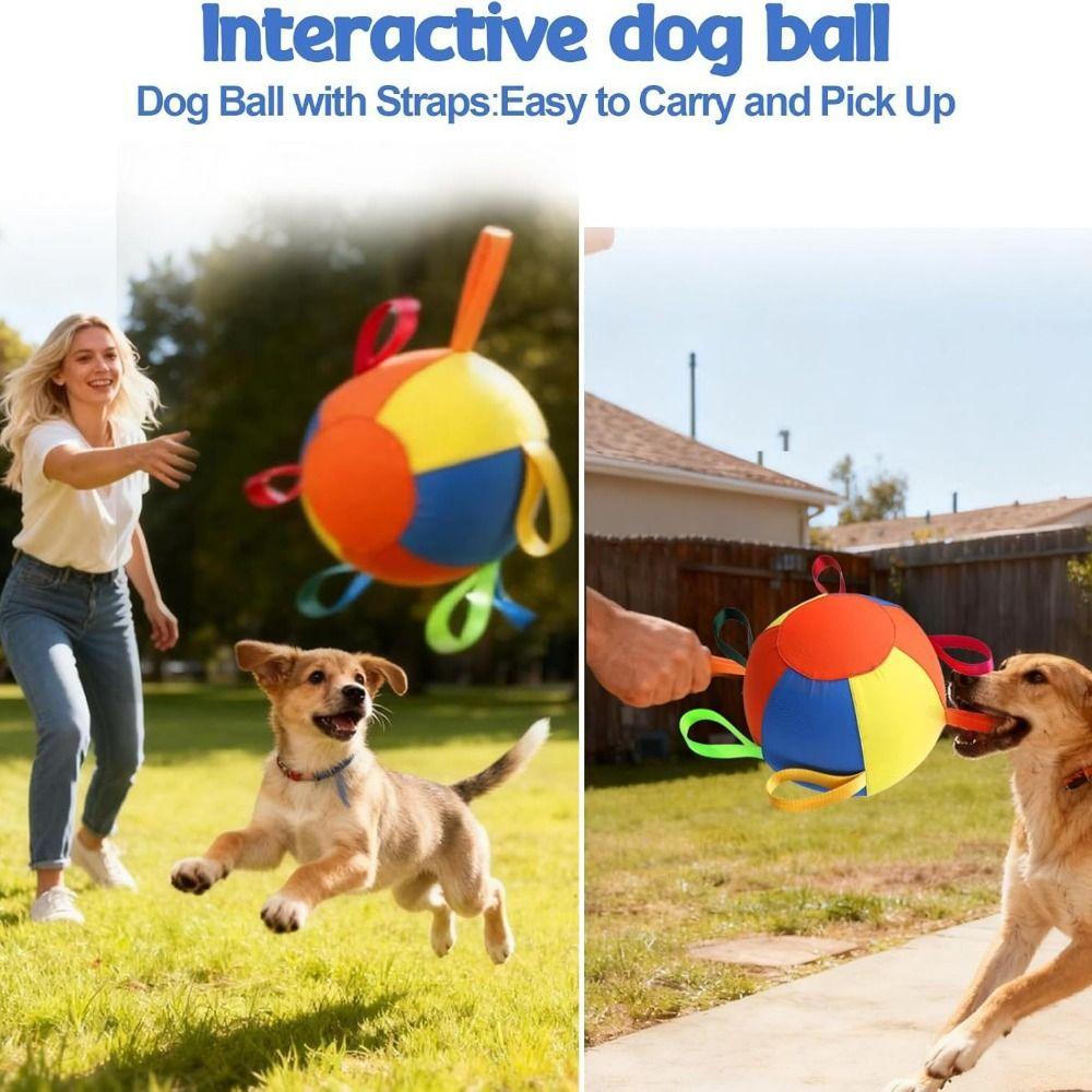 New Inflatable Herding Ball for Dogs Tear-Resistant Outdoor Play Dog Training Ball with Straps Calming Jumbo Ball Border Collie