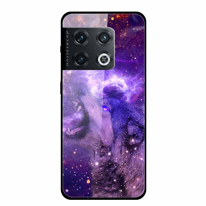 For One plus 10 Pro Case Shockproof Tempered Glass Hard Back Cover For OnePlus 10 Pro 10Pro Oneplus10 1+10 Pro Bumper Coque Case