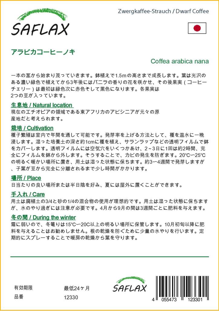 SAFLAX Dwarf Coffee - 8 Seeds - Coffea Arabica Nana