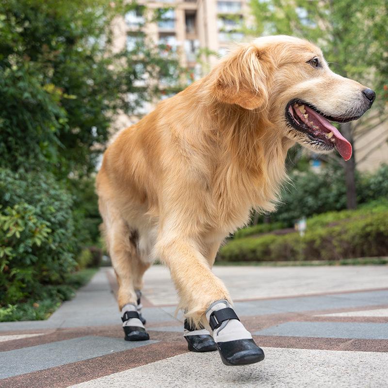 Classic Solid Eco-friendly Pet Professional Sports Running Shoes Non-Slip Breathable Cotton Dog Walking Shoes Light Pod