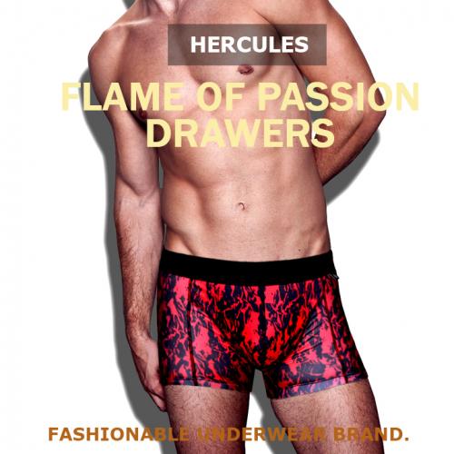 

[Hercules Underwear] Дерзкая Страсть Модные Боксеры-Брифы HB2DR301M1 [Отправка из Кореи] 100% Оригинал 95