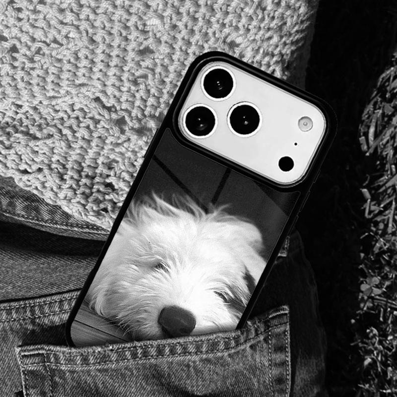 GOLD ENGLISH SHEEPDOG PUPPY phone case cover Compatible with for IPhone 17air 16e 15 14 13 12 11Pro Max 17 Air
