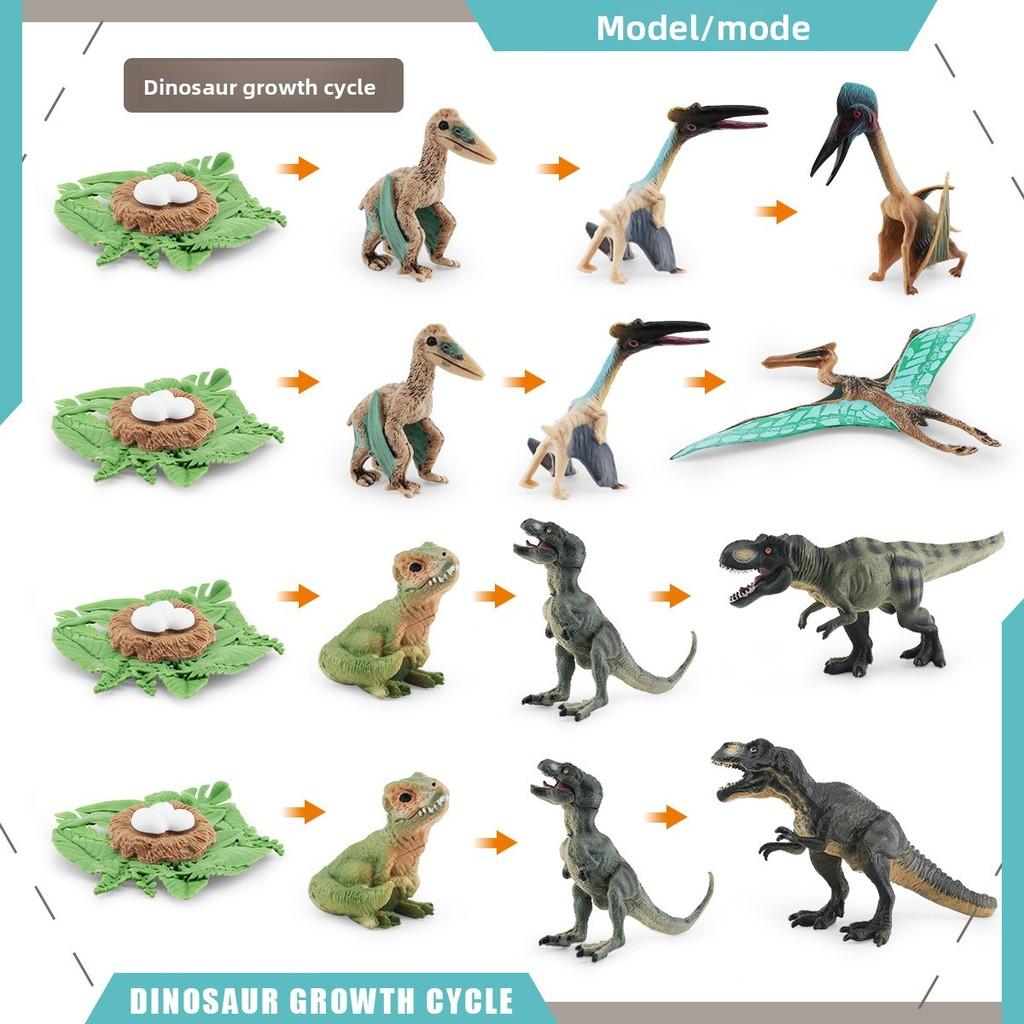 Pterosaur T Rex Growth Cycle Figures Pvc Models For Kid Science Educational Gift