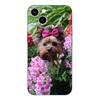 Black Tpu Case For Realme 2 3 3i 5i 5s 6s 7i 6 7 8 8i pro 4g 5g cover Yorkshire Terrier Dog