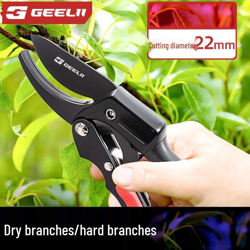 SMVP Professional Pruning Shears CN plug (adapter included)