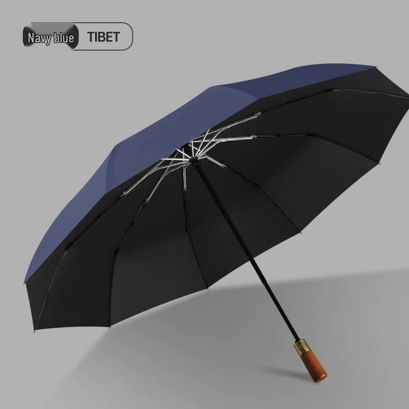 Nanqiao 10-Rib Automatic Folding Umbrella