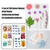 205Pcs Pressed Dried Flower For Resin Natural Dry Flower Leaf with Tweezers Sticker for Art Craft Candle Jewelry Making